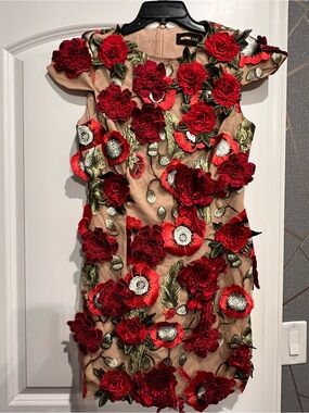 Fashion Nova Red Floral Embroidered Nude Mini Dress